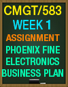 CMGT/583 WEEK 1 PHOENIX FINE ELECTRONICS